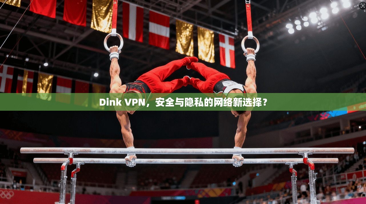 Dink VPN，安全与隐私的网络新选择？