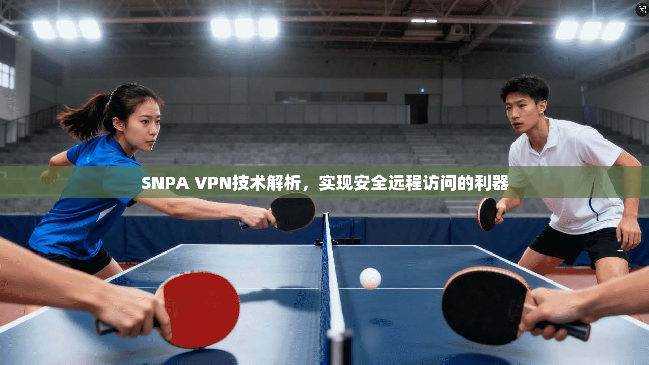 SNPA VPN技术解析，实现安全远程访问的利器