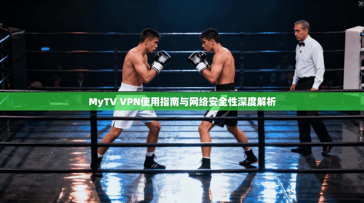 MyTV VPN使用指南与网络安全性深度解析