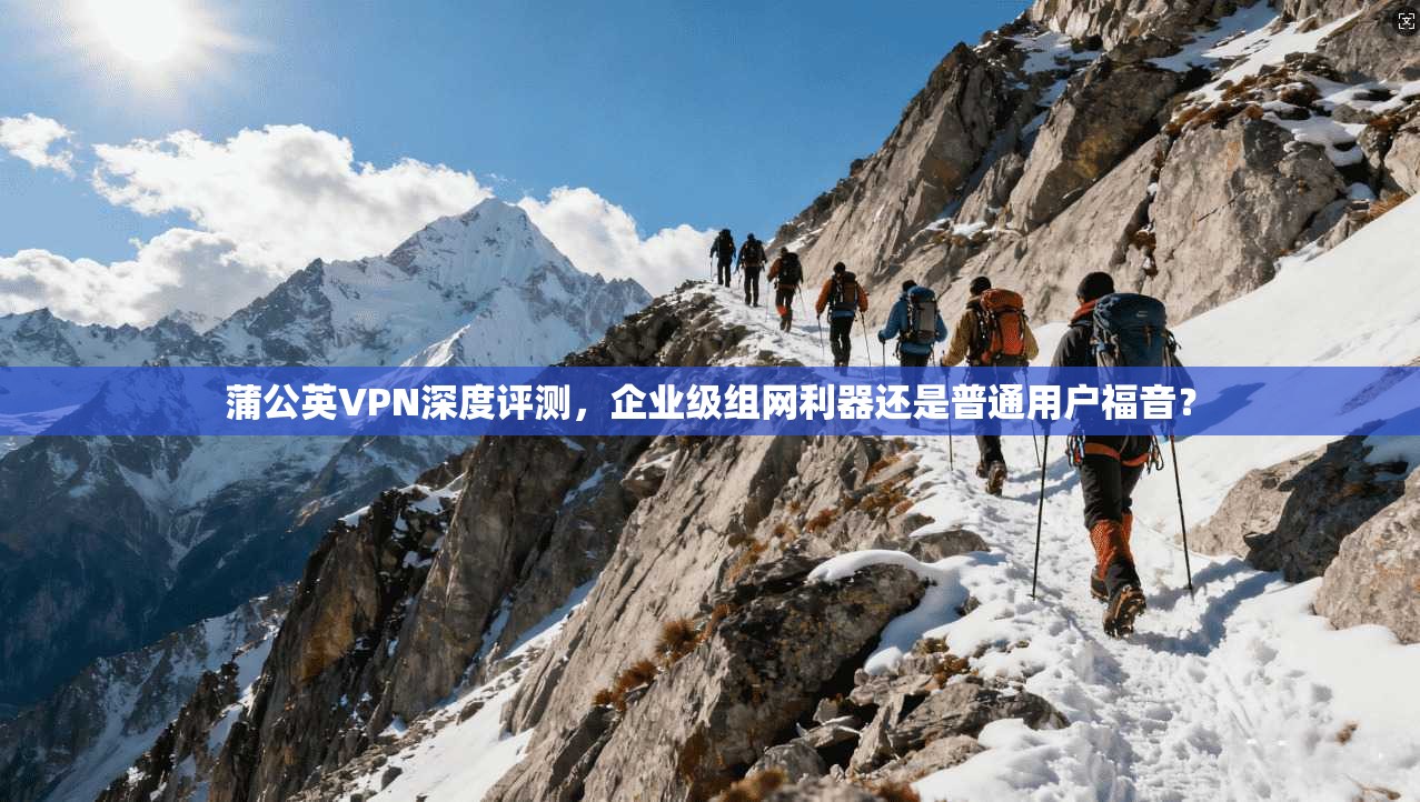 蒲公英VPN深度评测，企业级组网利器还是普通用户福音？