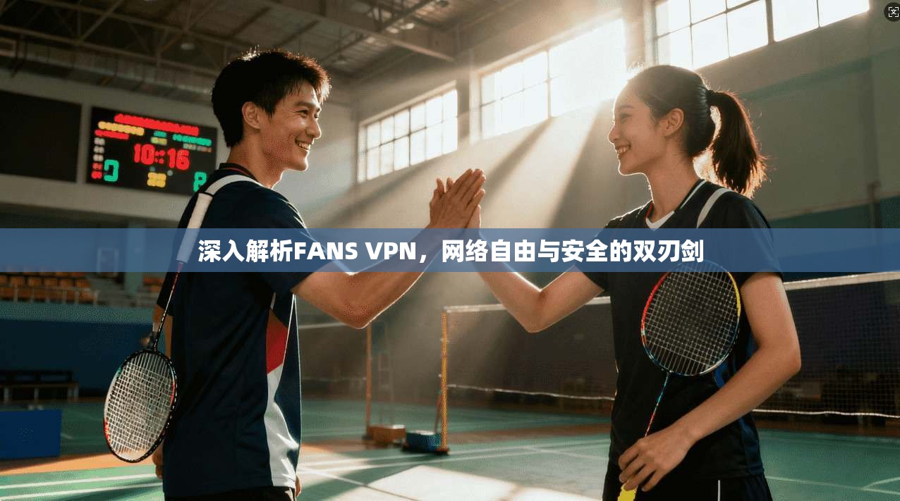 深入解析FANS VPN，网络自由与安全的双刃剑