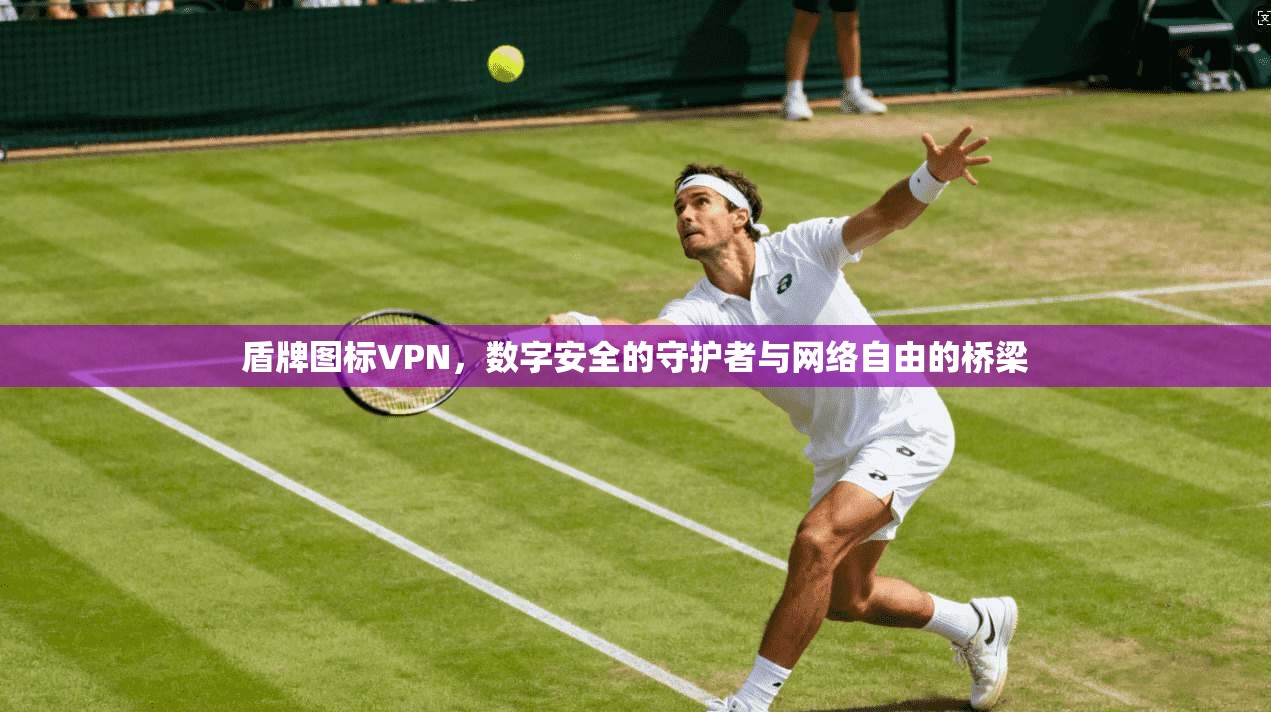盾牌图标VPN，数字安全的守护者与网络自由的桥梁