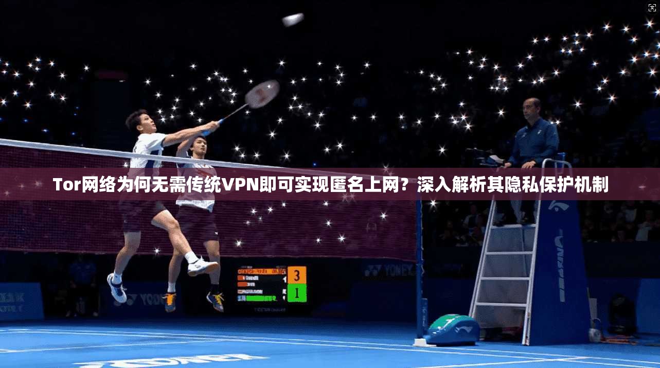 Tor网络为何无需传统VPN即可实现匿名上网？深入解析其隐私保护机制