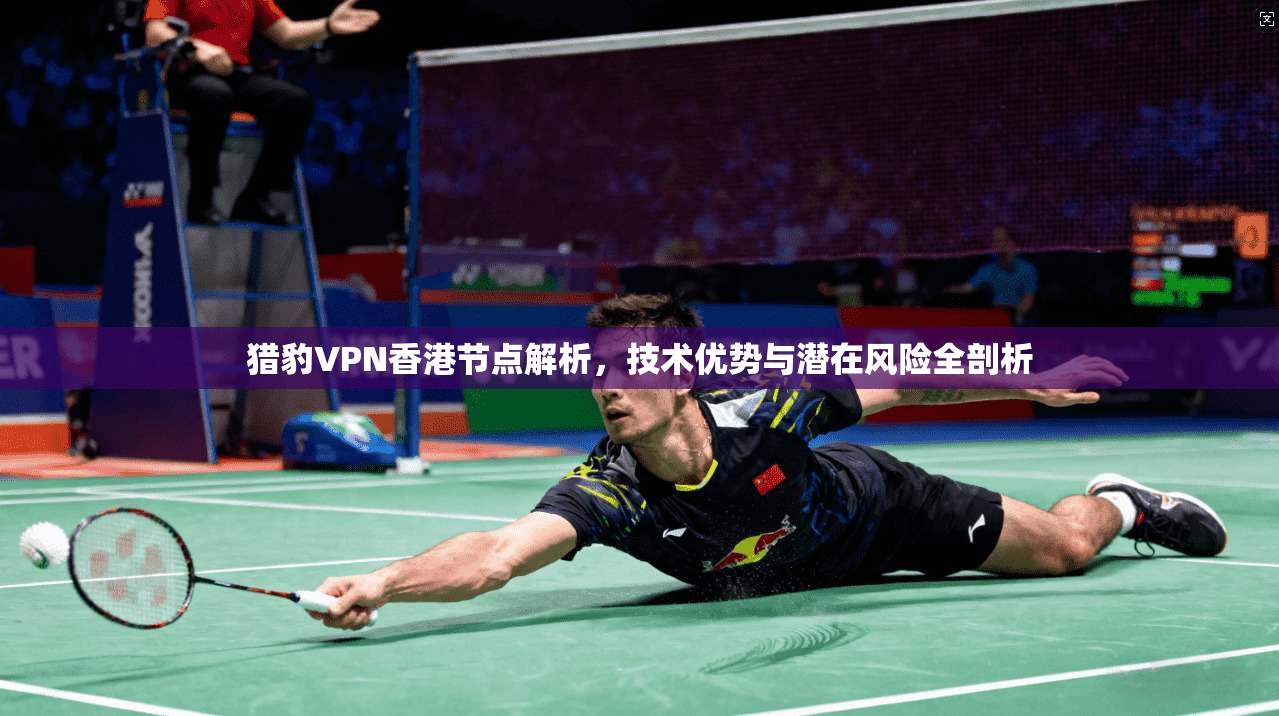 猎豹VPN香港节点解析，技术优势与潜在风险全剖析