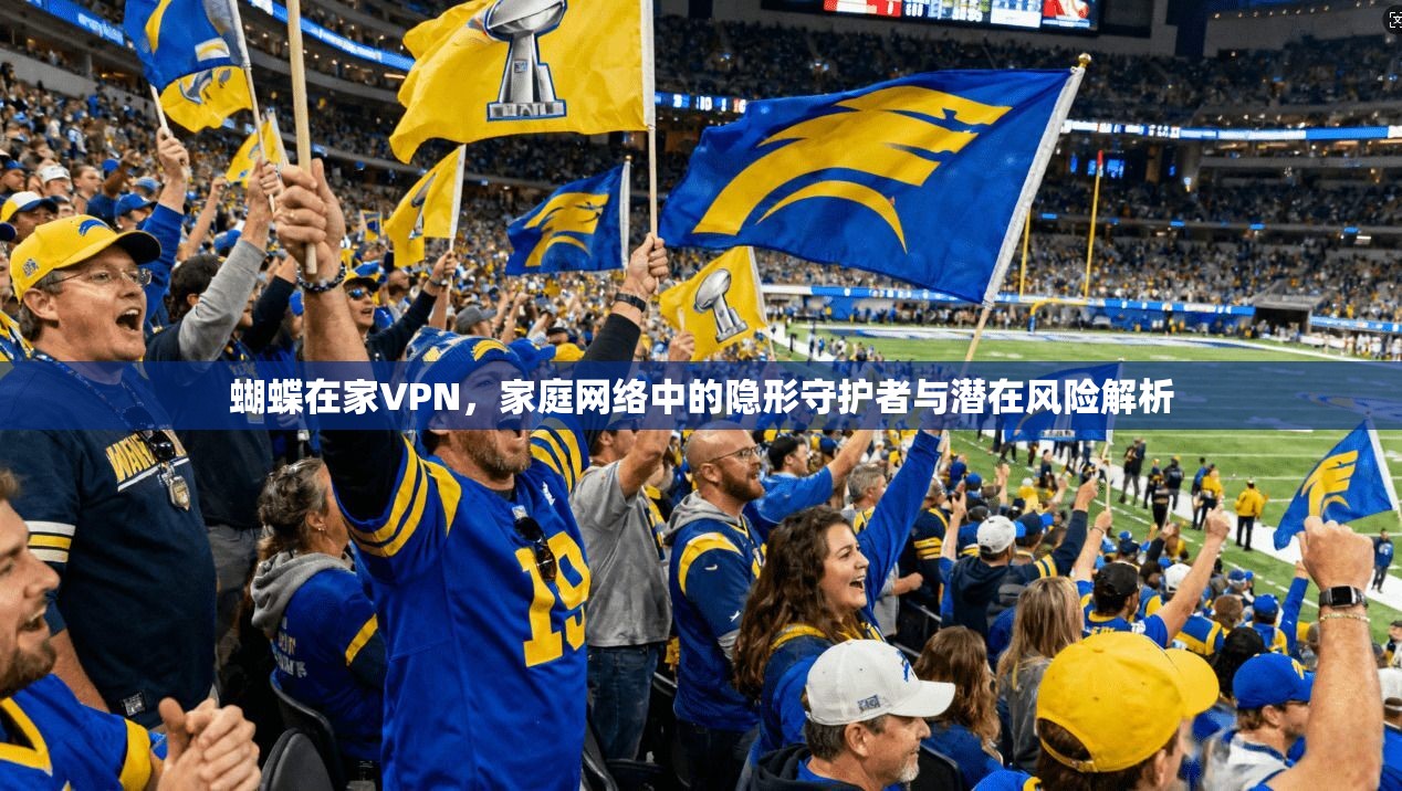 蝴蝶在家VPN，家庭网络中的隐形守护者与潜在风险解析  第1张
