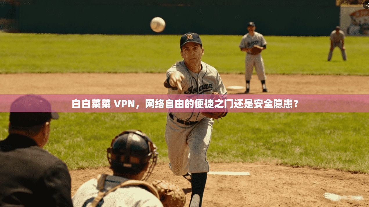 白白菜菜 VPN，网络自由的便捷之门还是安全隐患？