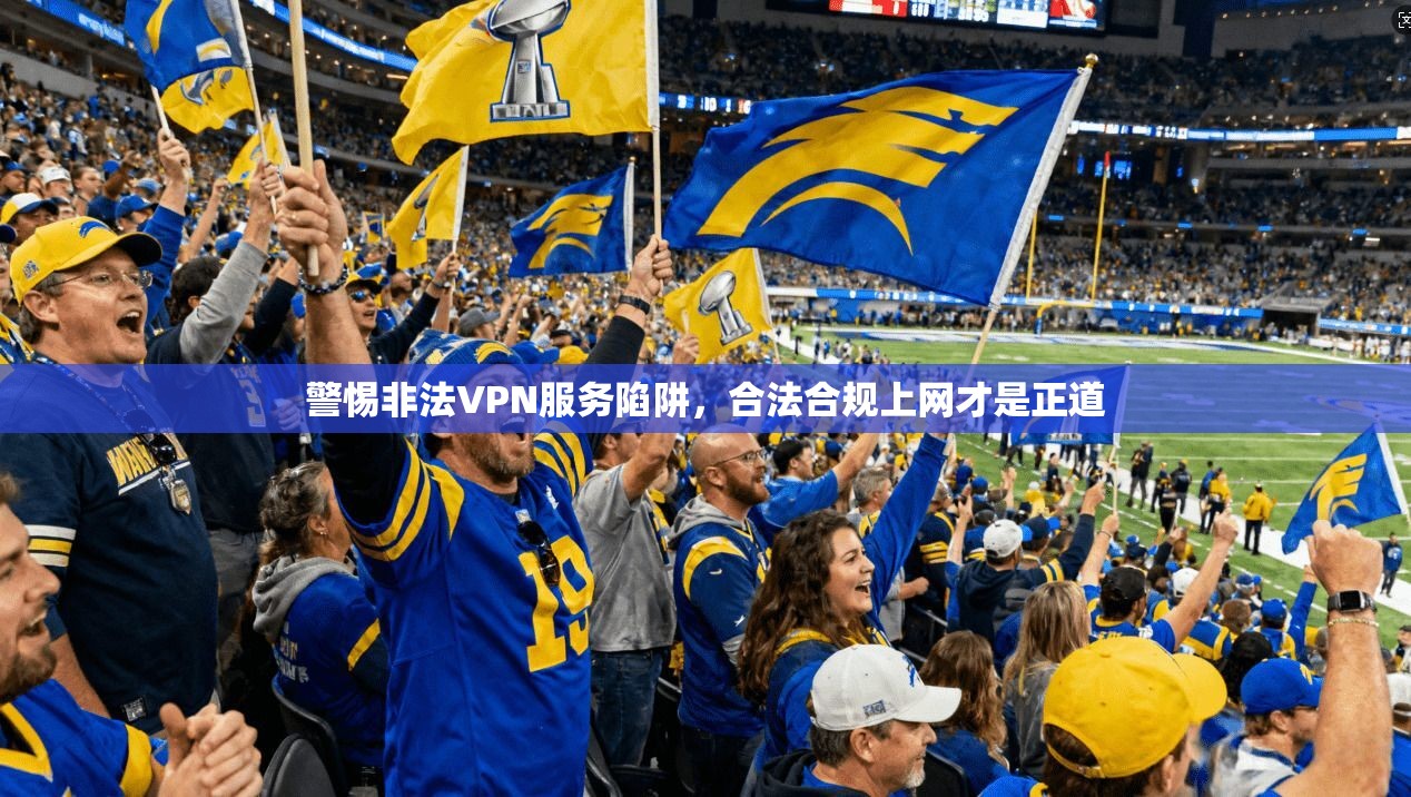 警惕非法VPN服务陷阱，合法合规上网才是正道