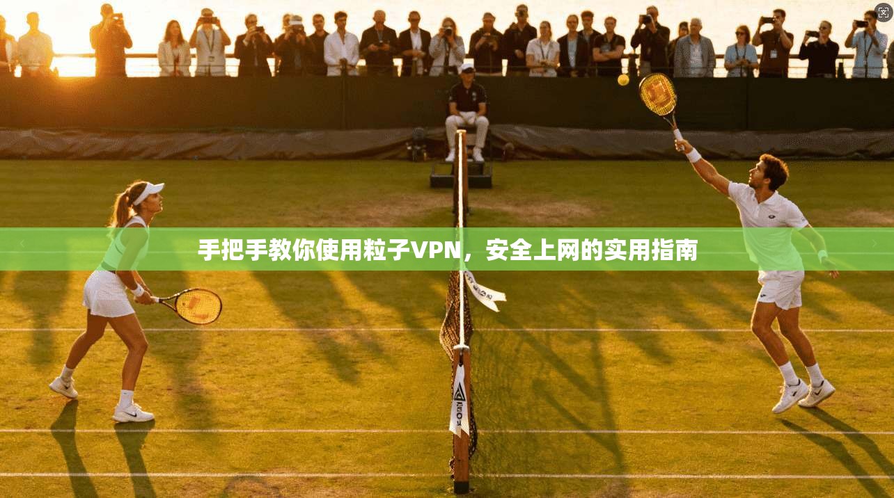 手把手教你使用粒子VPN，安全上网的实用指南