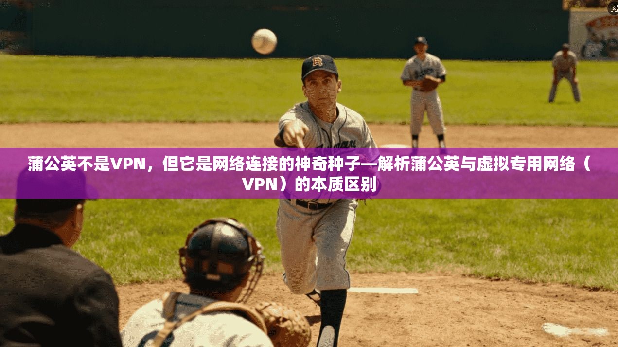 蒲公英不是VPN，但它是网络连接的神奇种子—解析蒲公英与虚拟专用网络（VPN）的本质区别