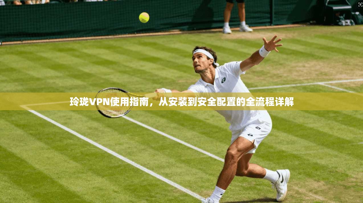 玲珑VPN使用指南，从安装到安全配置的全流程详解