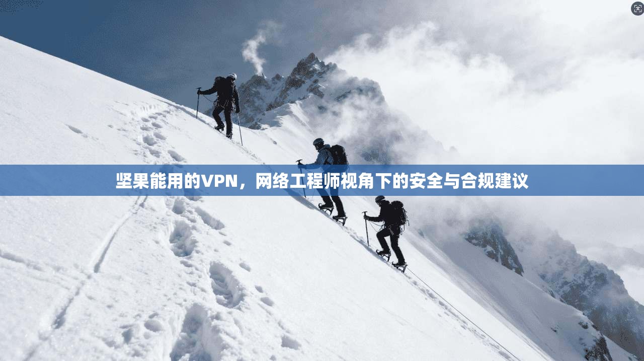 坚果能用的VPN，网络工程师视角下的安全与合规建议