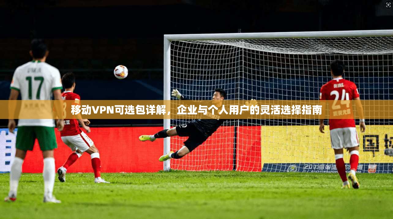 移动VPN可选包详解，企业与个人用户的灵活选择指南