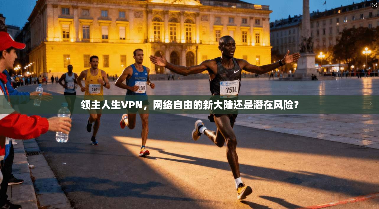 领主人生VPN，网络自由的新大陆还是潜在风险？