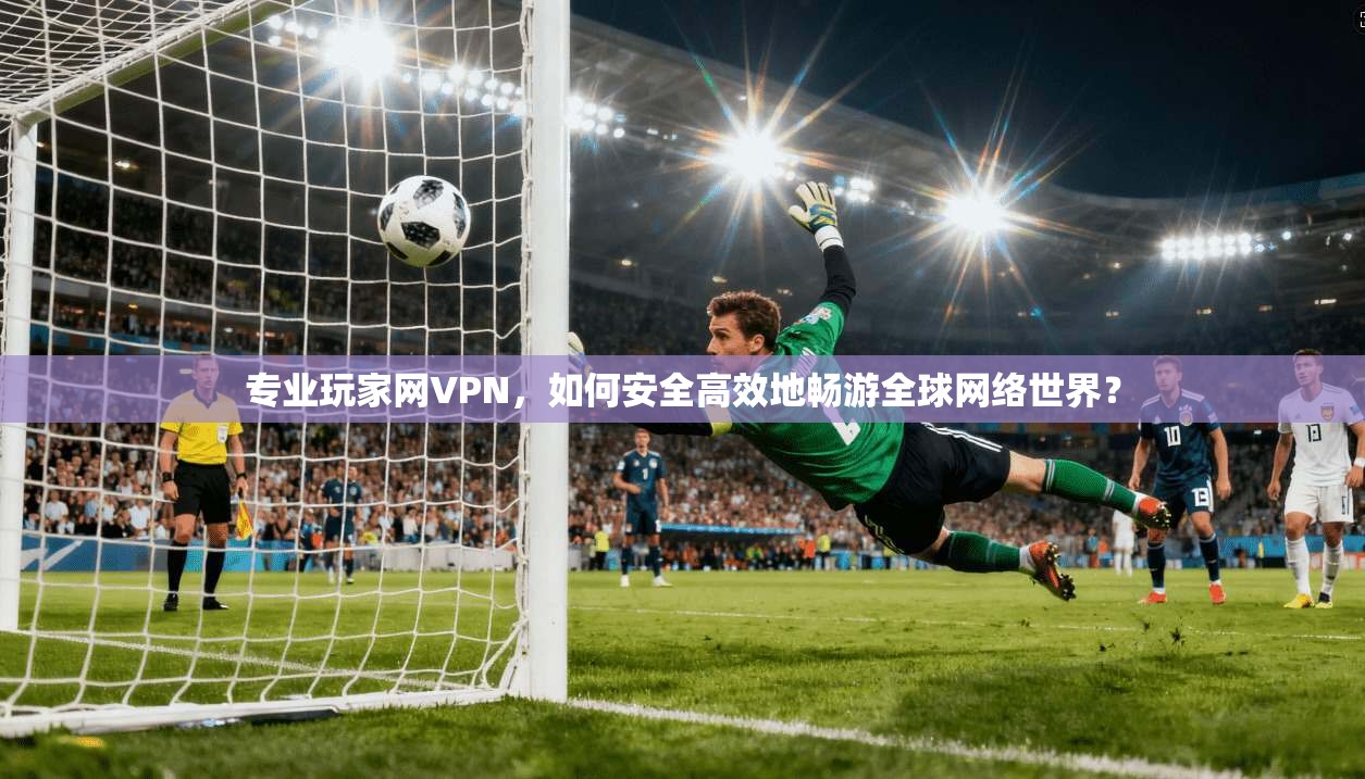 专业玩家网VPN，如何安全高效地畅游全球网络世界？