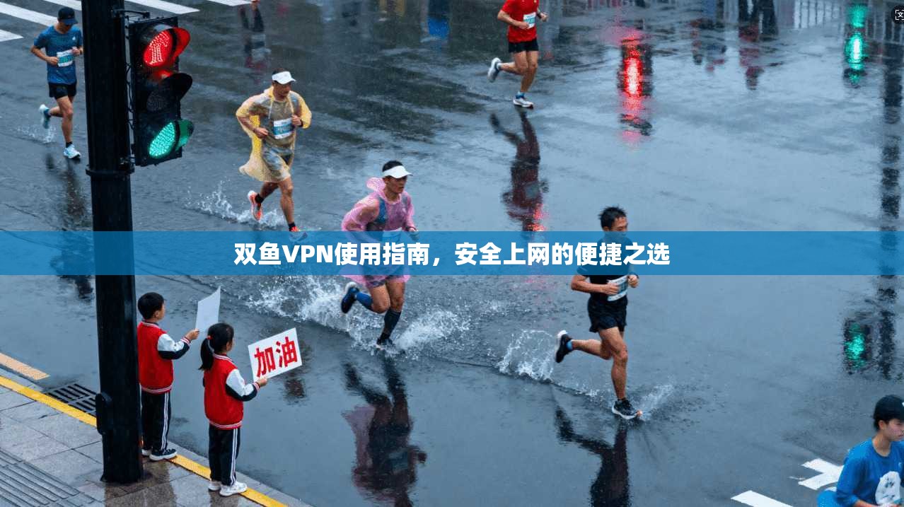 双鱼VPN使用指南，安全上网的便捷之选