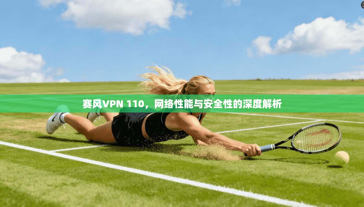赛风VPN 110，网络性能与安全性的深度解析