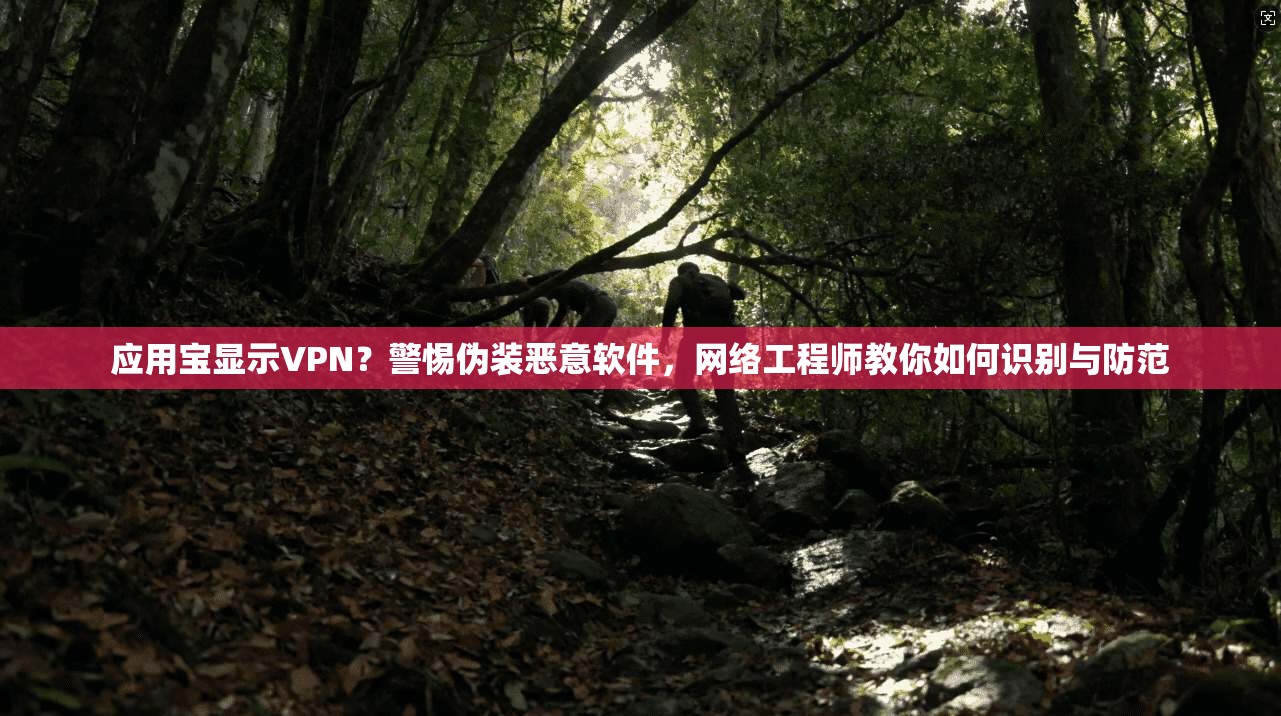应用宝显示VPN？警惕伪装恶意软件，网络工程师教你如何识别与防范