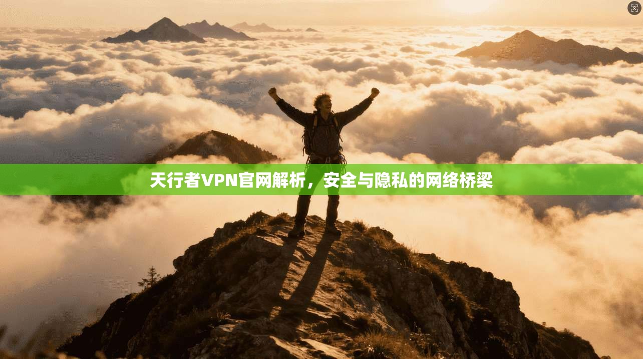 天行者VPN官网解析，安全与隐私的网络桥梁