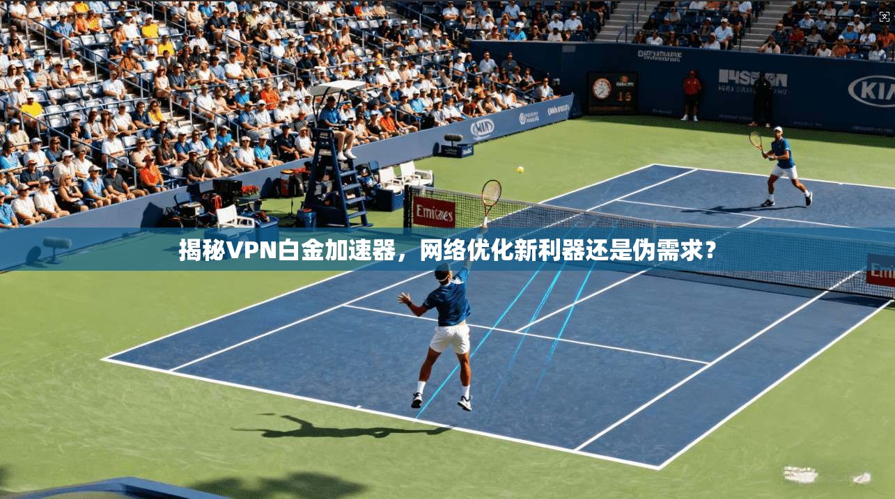 揭秘VPN白金加速器，网络优化新利器还是伪需求？