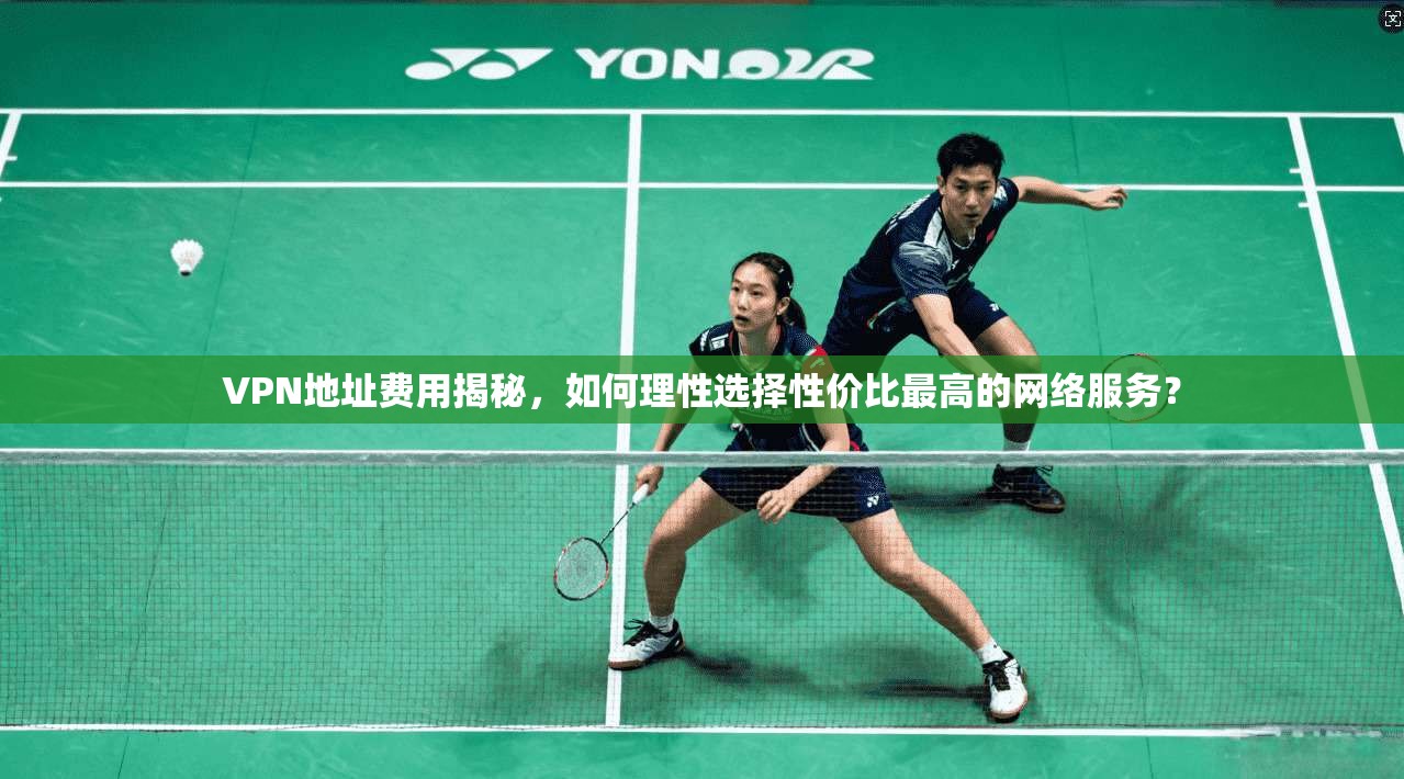 VPN地址费用揭秘，如何理性选择性价比最高的网络服务？