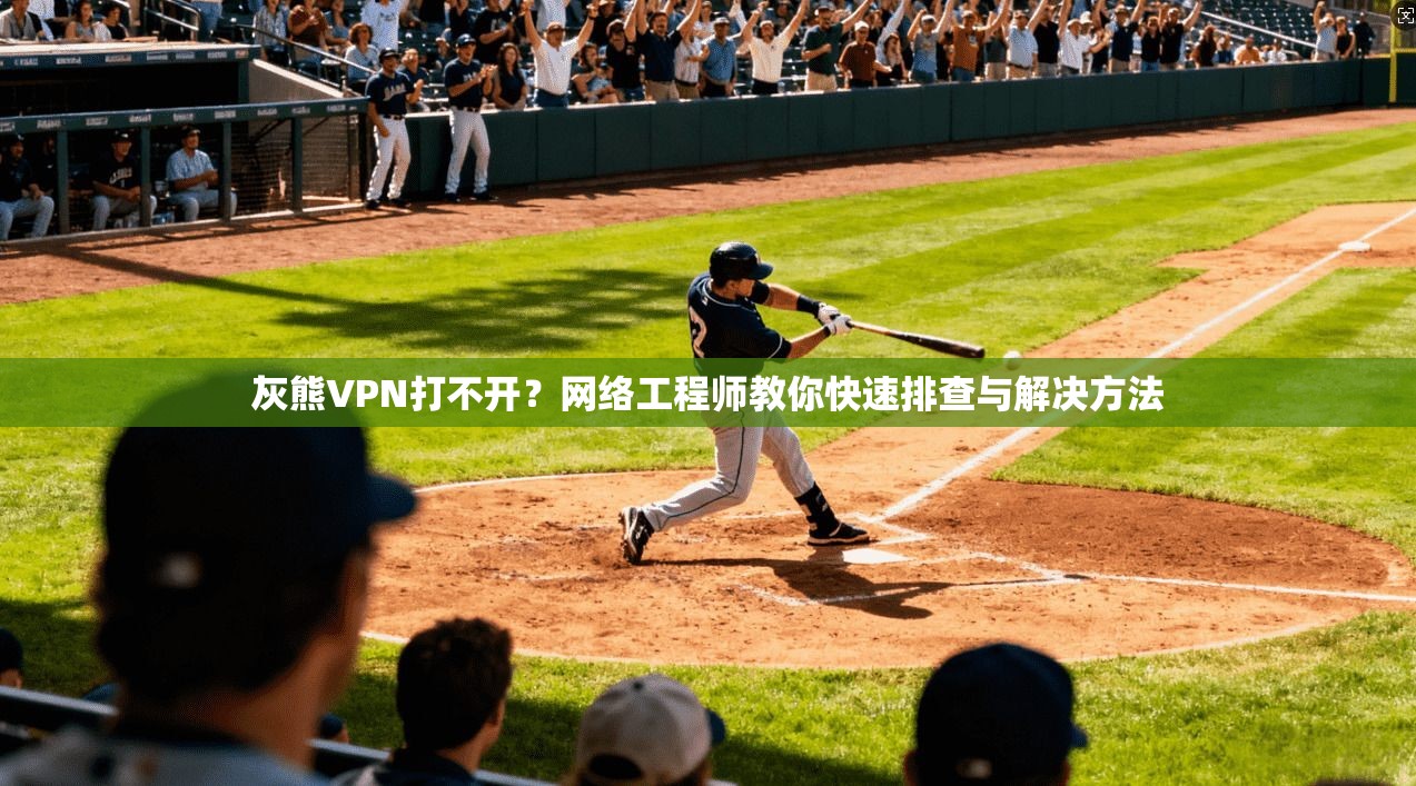 灰熊VPN打不开?网络工程师教你快速排查与解决方法