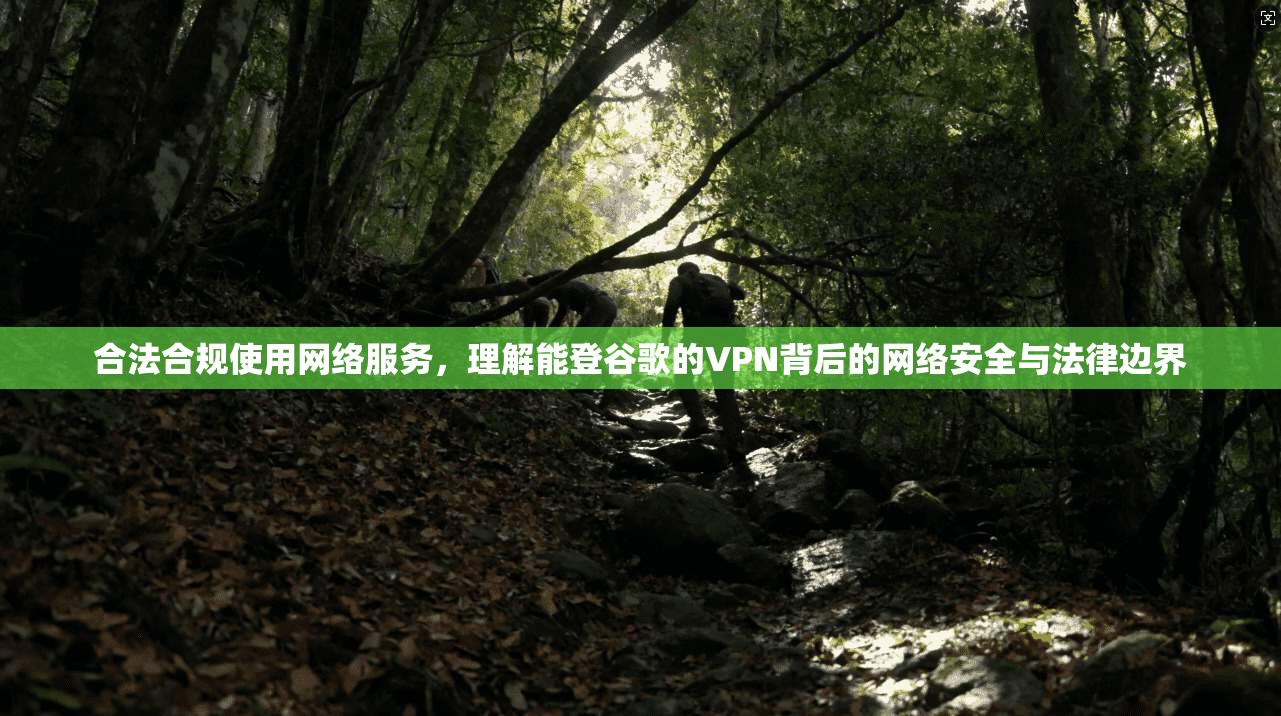合法合规使用网络服务，理解能登谷歌的VPN背后的网络安全与法律边界