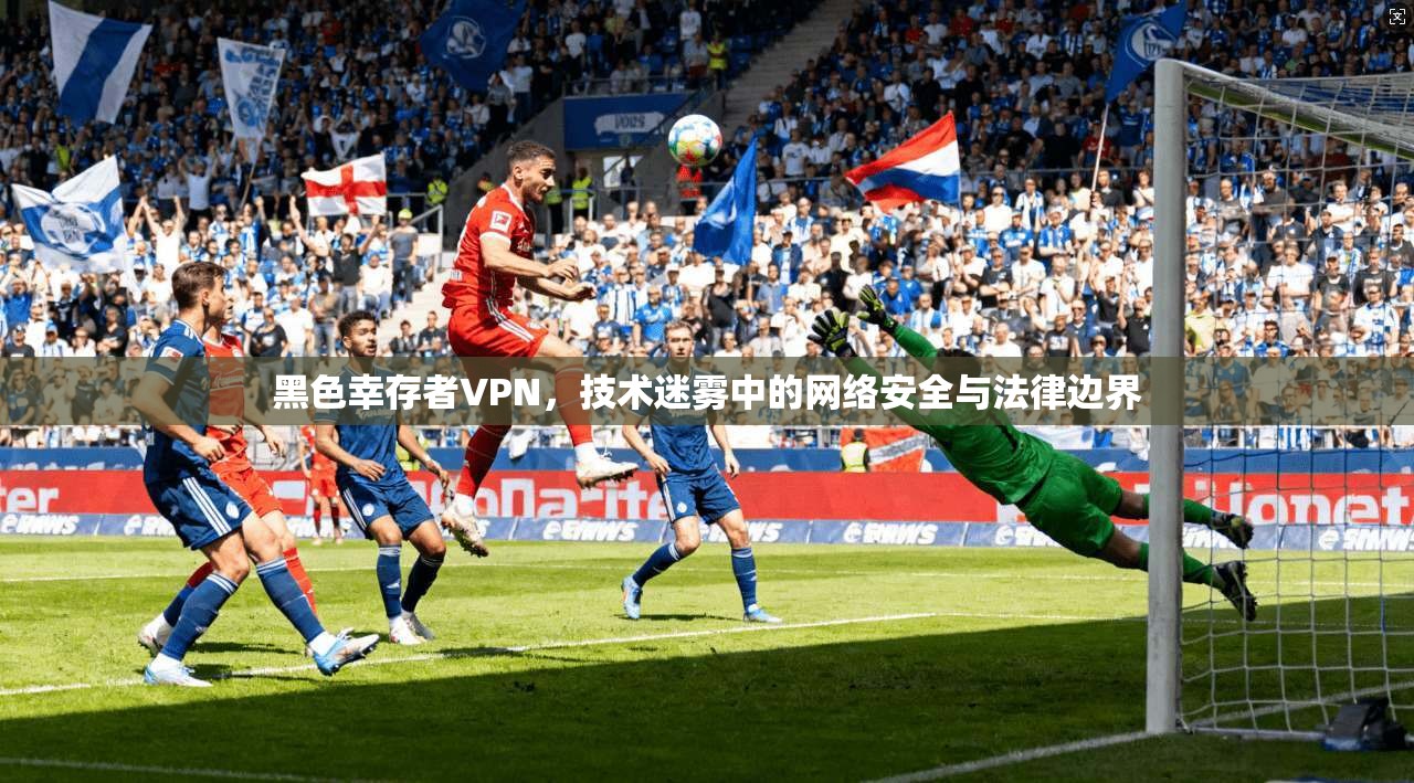 黑色幸存者VPN，技术迷雾中的网络安全与法律边界