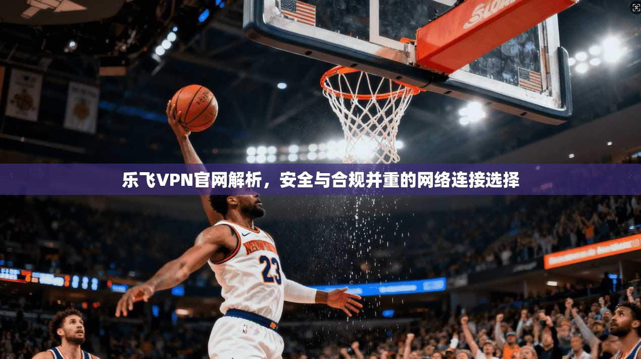 乐飞VPN官网解析,安全与合规并重的网络连接选择