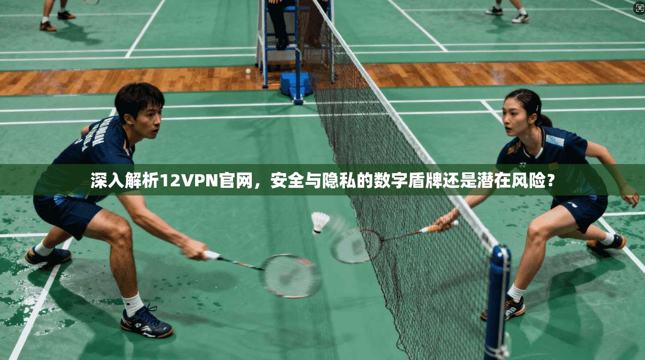 深入解析12VPN官网，安全与隐私的数字盾牌还是潜在风险？