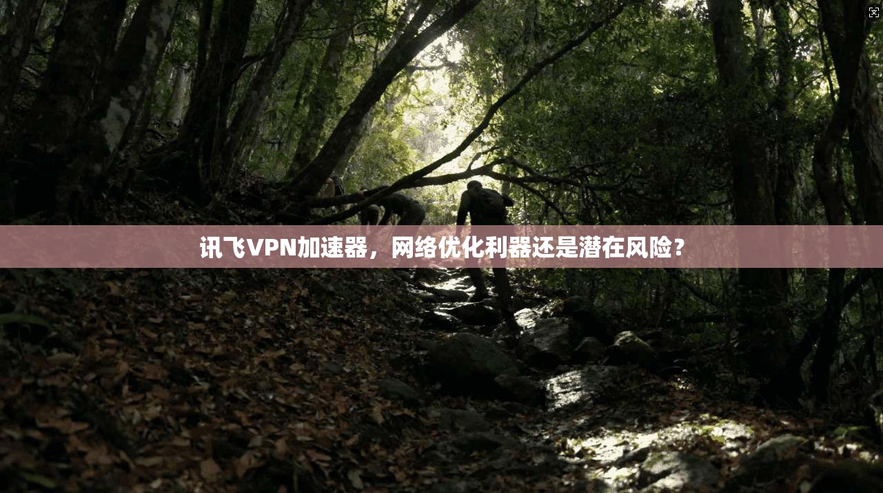 讯飞VPN加速器，网络优化利器还是潜在风险？