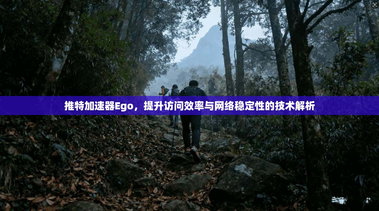 推特加速器Ego,提升访问效率与网络稳定性的技术解析
