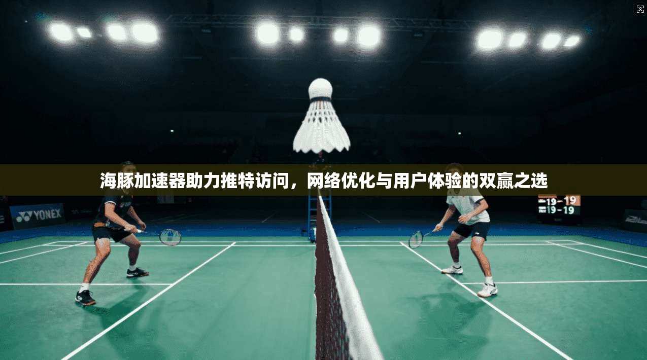 海豚加速器助力推特访问，网络优化与用户体验的双赢之选