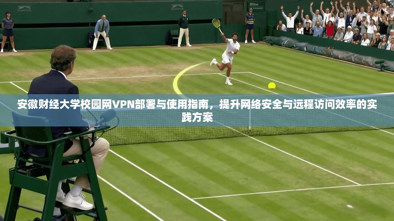 安徽财经大学校园网VPN部署与使用指南，提升网络安全与远程访问效率的实践方案
