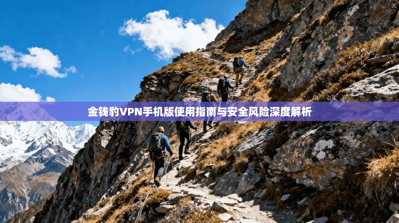 金钱豹VPN手机版使用指南与安全风险深度解析
