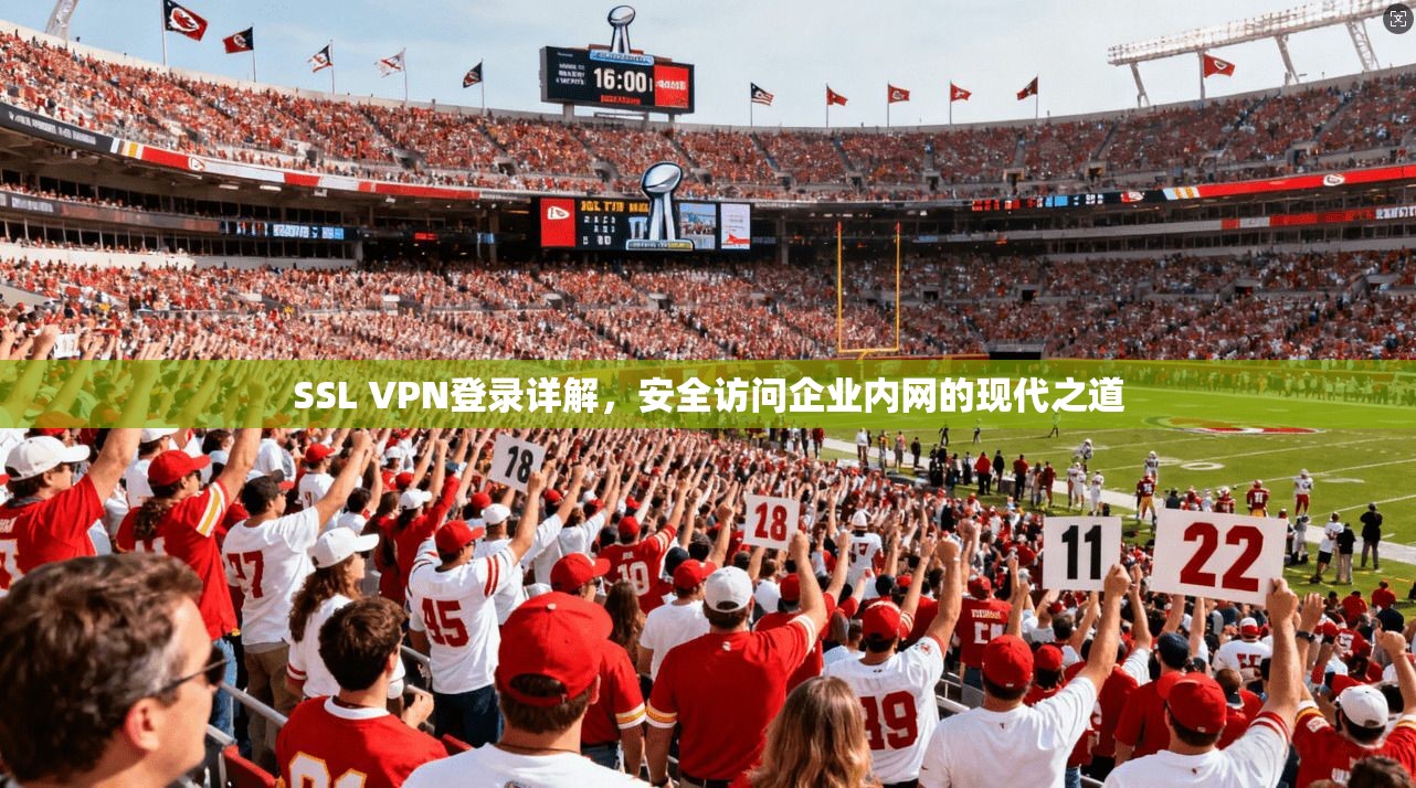 SSL VPN登录详解,安全访问企业内网的现代之道