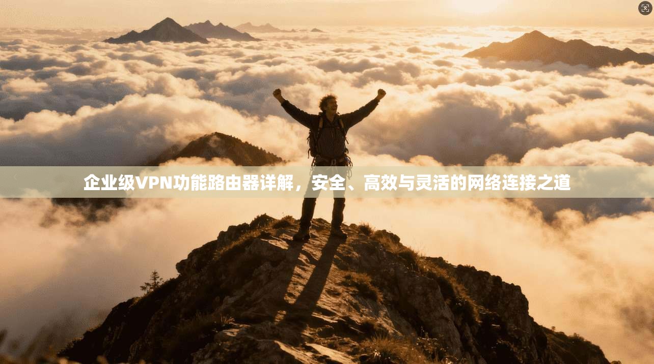 企业级VPN功能路由器详解,安全、高效与灵活的网络连接之道