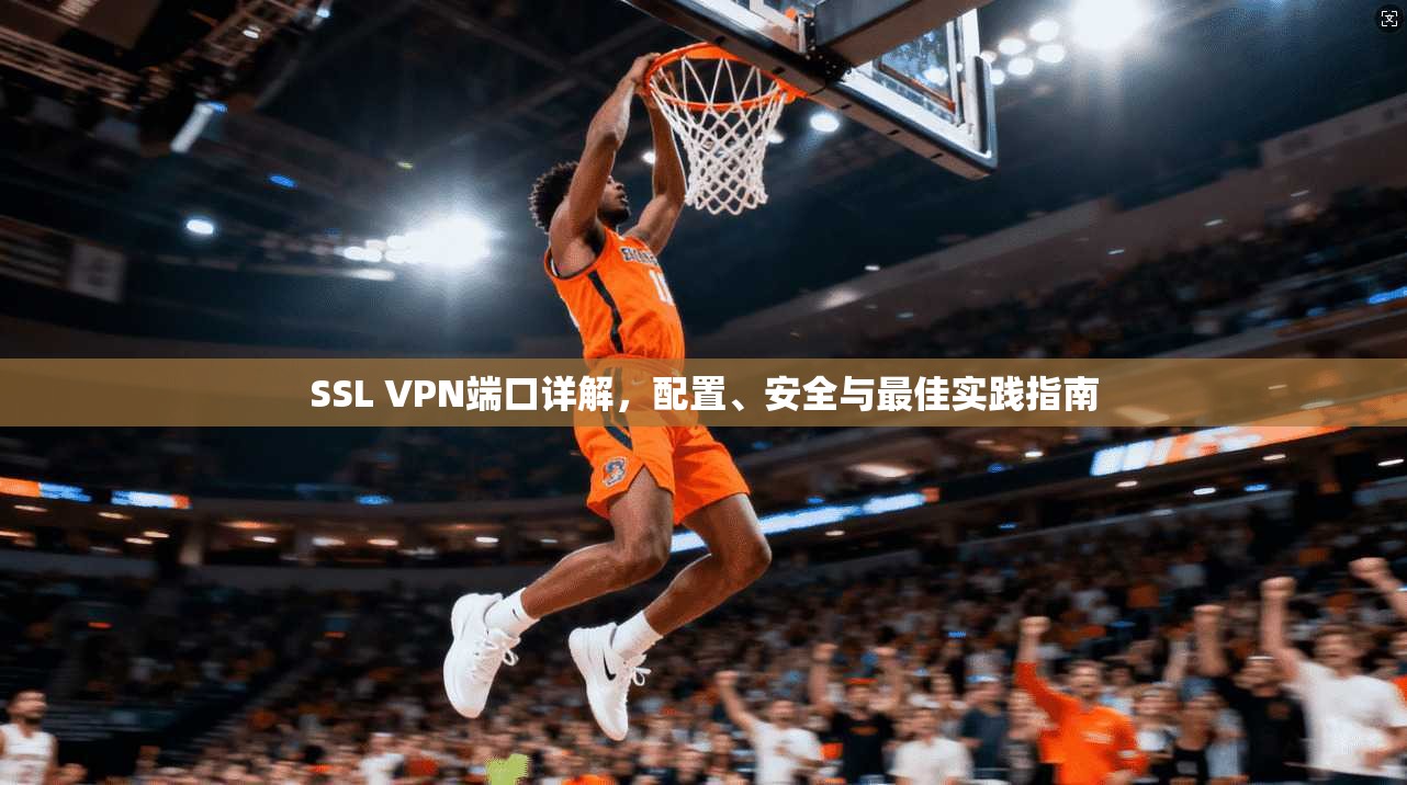 SSL VPN端口详解,配置、安全与最佳实践指南