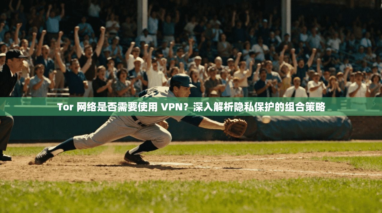 Tor 网络是否需要使用 VPN？深入解析隐私保护的组合策略