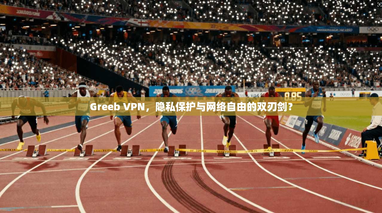 Greeb VPN，隐私保护与网络自由的双刃剑？