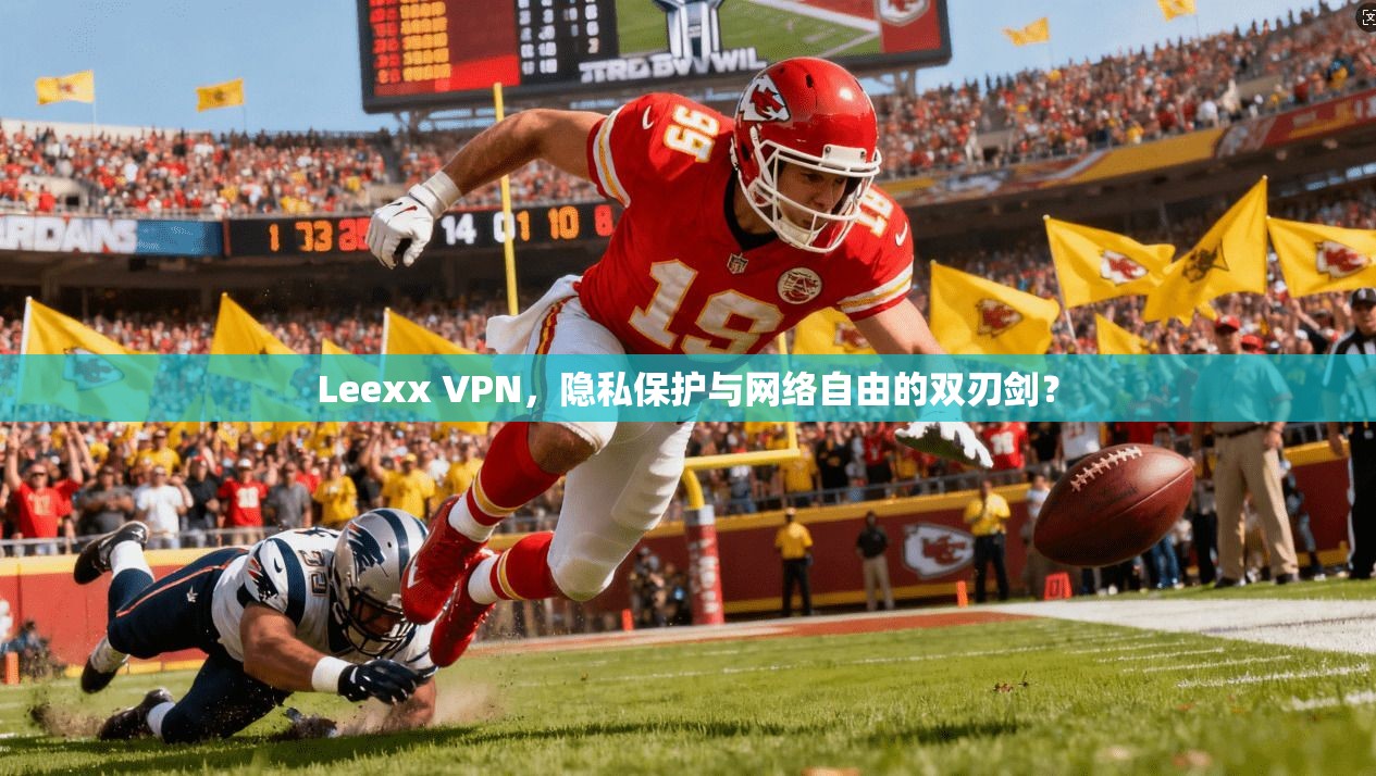 Leexx VPN，隐私保护与网络自由的双刃剑？