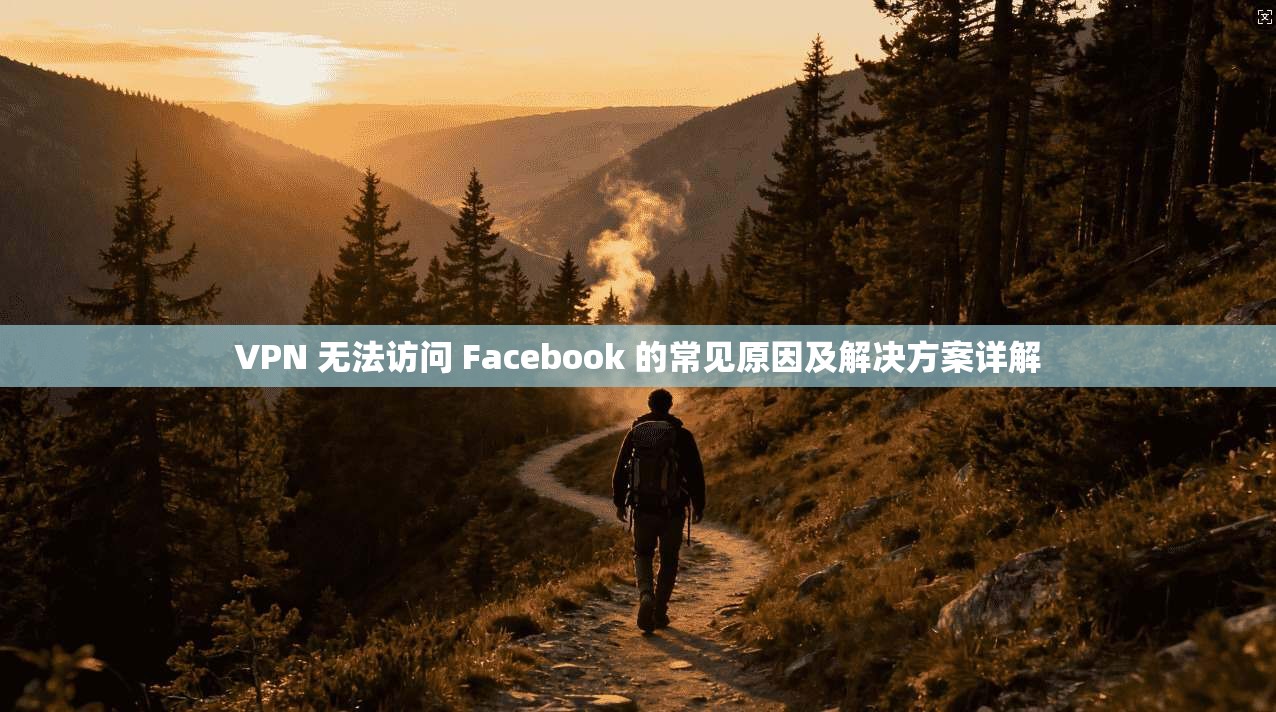 VPN 无法访问 Facebook 的常见原因及解决方案详解