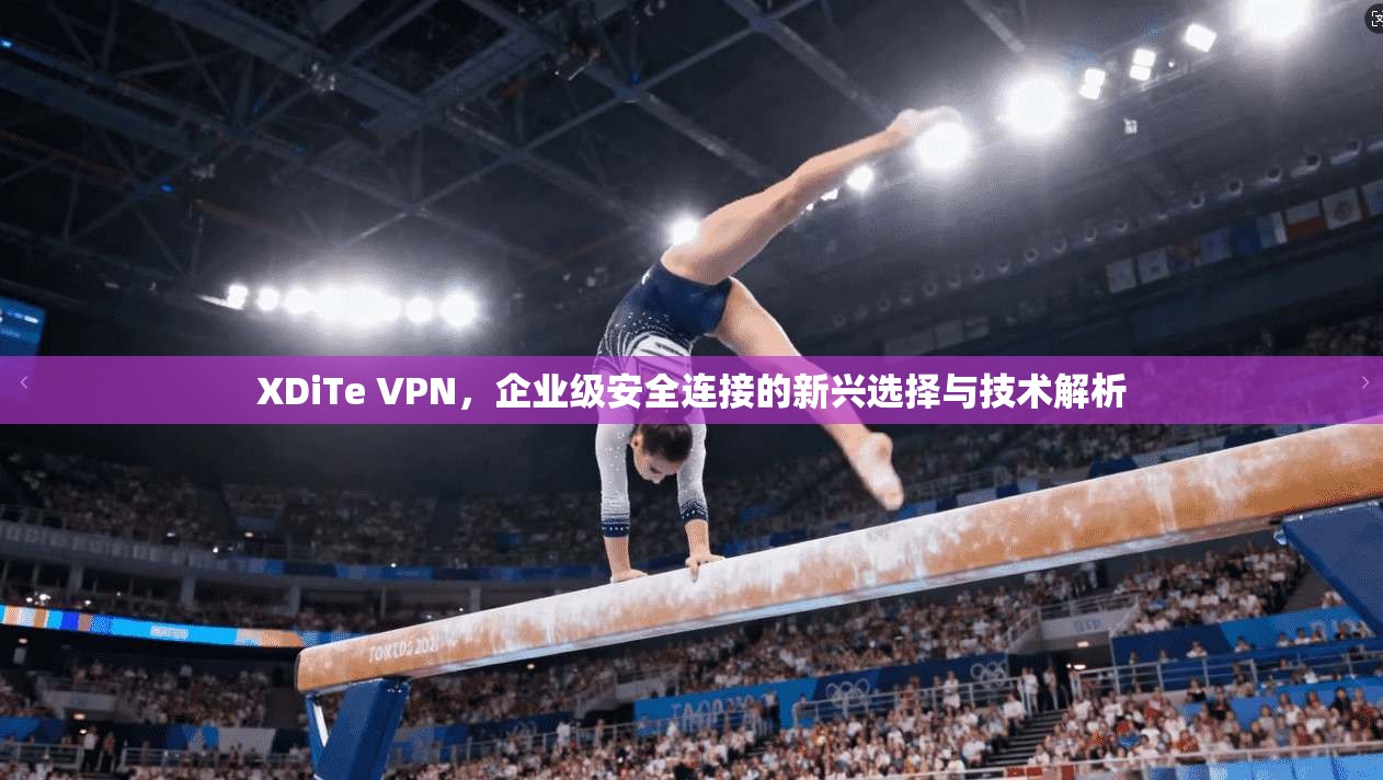 XDiTe VPN，企业级安全连接的新兴选择与技术解析  第1张