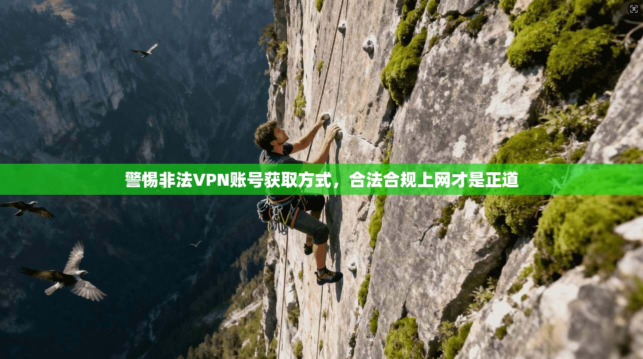 警惕非法VPN账号获取方式，合法合规上网才是正道