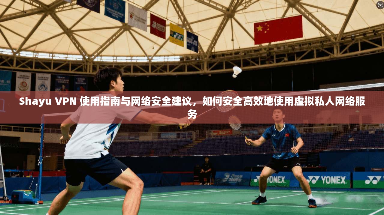 Shayu VPN 使用指南与网络安全建议，如何安全高效地使用虚拟私人网络服务