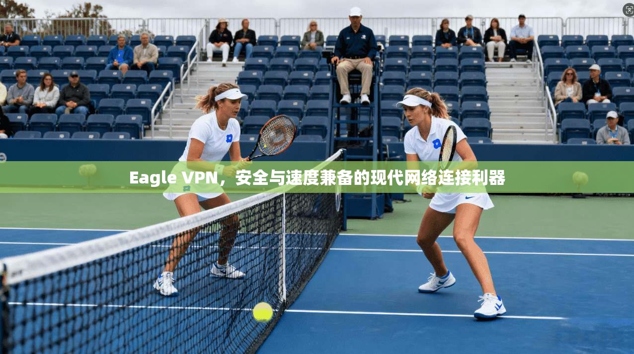Eagle VPN，安全与速度兼备的现代网络连接利器