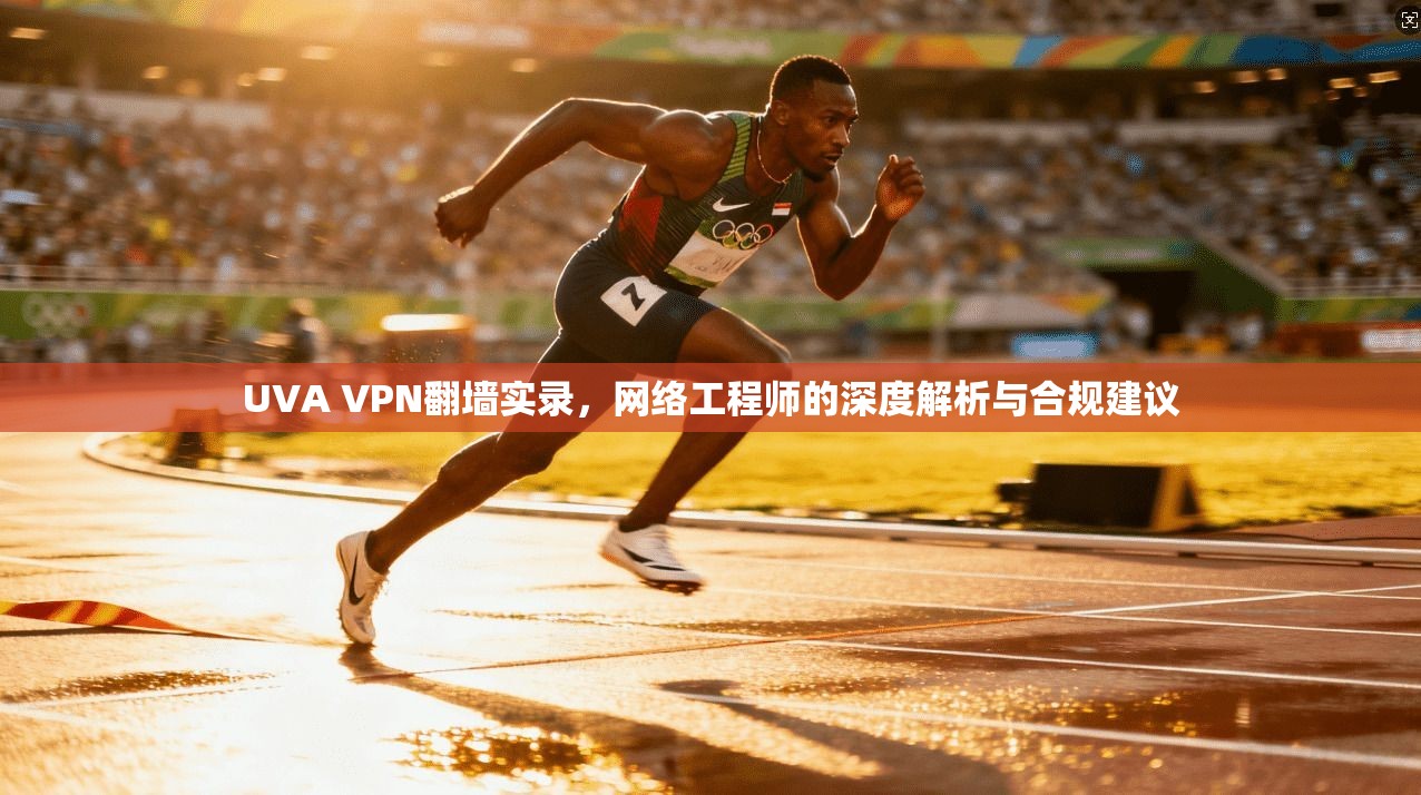 UVA VPN翻墙实录，网络工程师的深度解析与合规建议