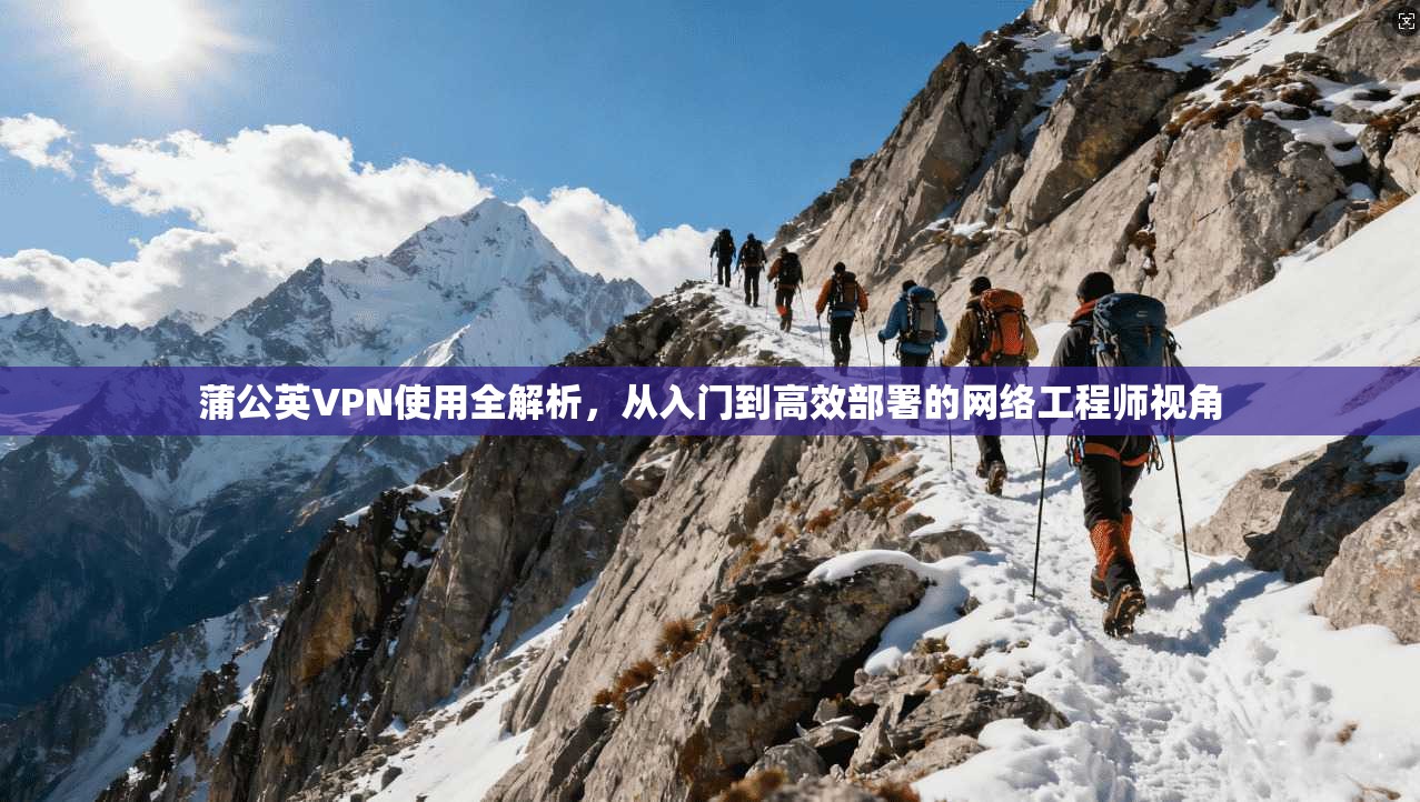 蒲公英VPN使用全解析，从入门到高效部署的网络工程师视角