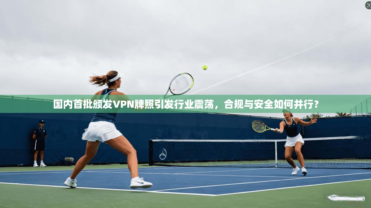 国内首批颁发VPN牌照引发行业震荡，合规与安全如何并行？