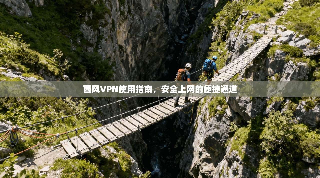 西风VPN使用指南，安全上网的便捷通道