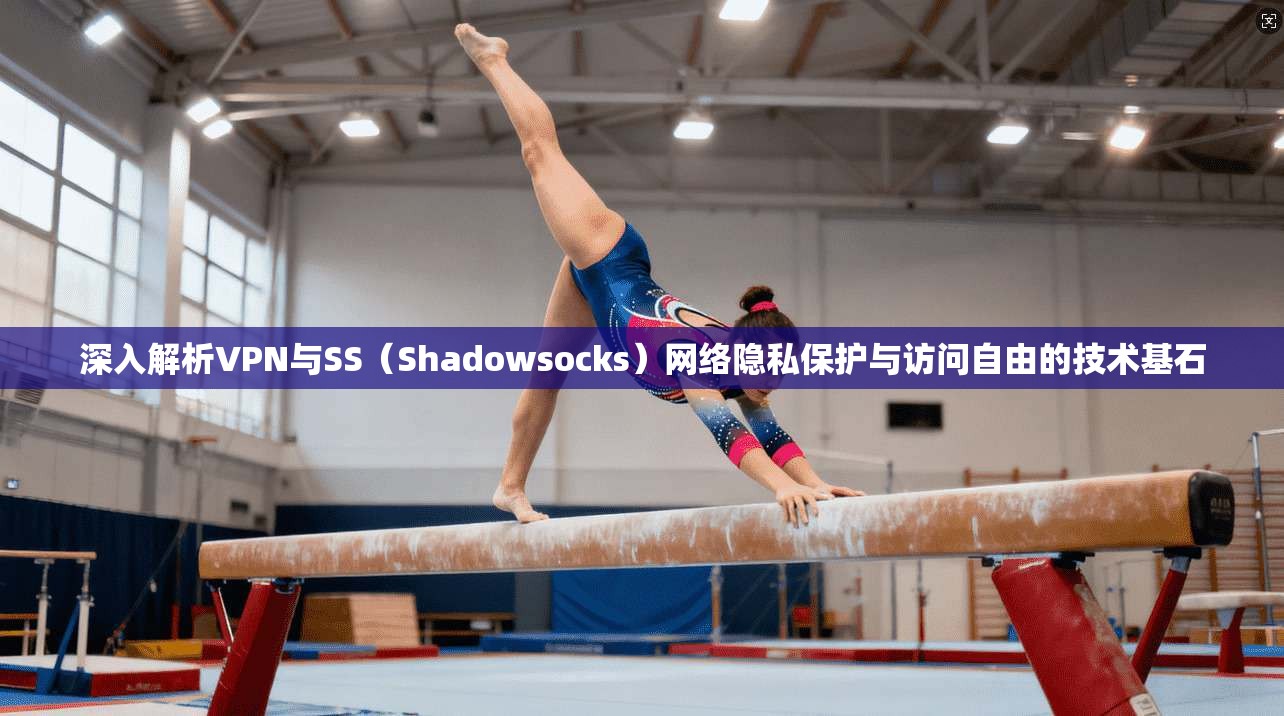 深入解析VPN与SS（Shadowsocks）网络隐私保护与访问自由的技术基石